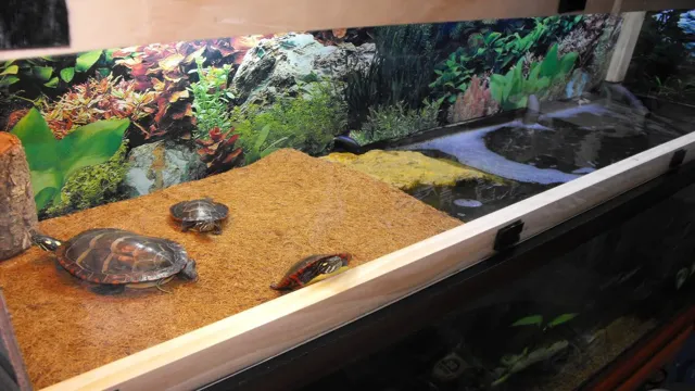 How to Make a Tortoise Aquarium: A Step-by-Step Guide to Building Your Own Turtle Tank.