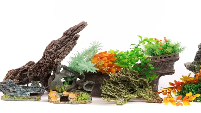 How to Make Toys Safe for Aquarium: Tips to Ensure Your Fish Thrive