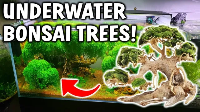 how to make trees in planted aquarium