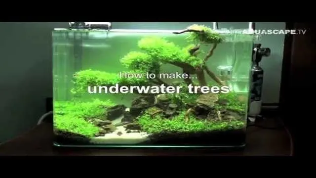 How to Make Trees in Planted Aquarium: A Step-by-Step Guide