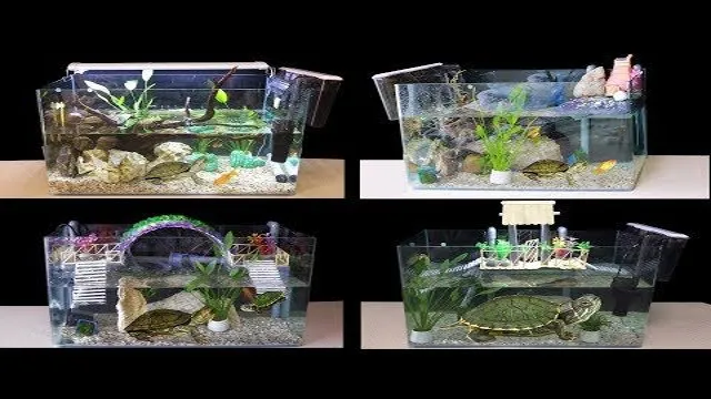 how to make turtle aquarium at home