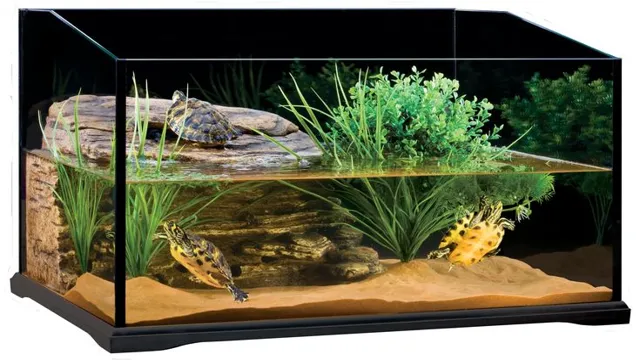 How to Make a Turtle Aquarium: Step-by-Step Guide from WikiHow