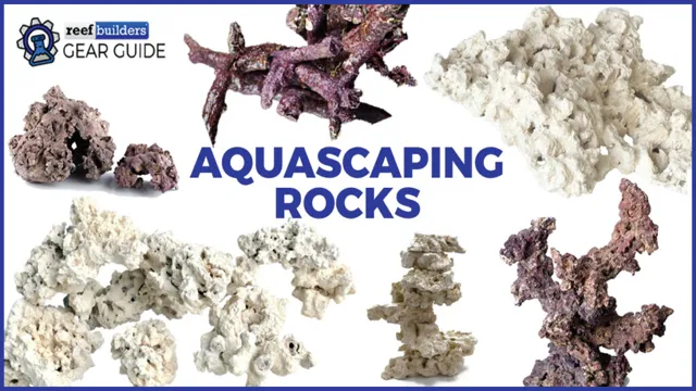 How to Make Used Dry Rock Safe for Aquariums: A Step-by-Step Guide