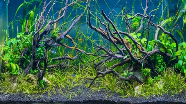 how to make wood for an aquarium lighter