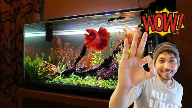 How to Make Your Clear Aquarium Water Clearer: Easy Tips and Tricks