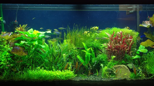 how to make your own aquarium background