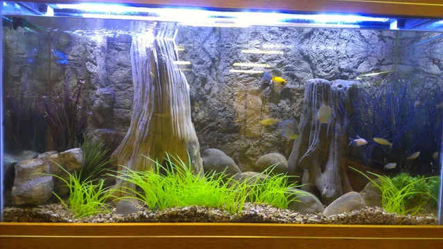 How to Make Your Own Aquarium Background – Easy DIY Tips and Ideas