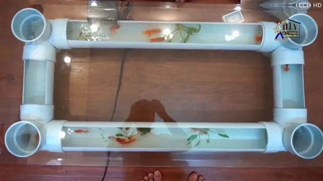 How to Make Your Own Aquarium Coffee Table: Step-by-Step Guide