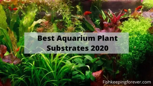 how to make your own aquarium plant substrate