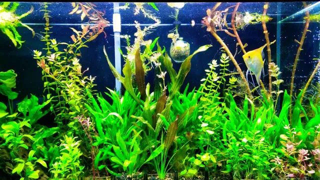 how to make your own aquarium plants