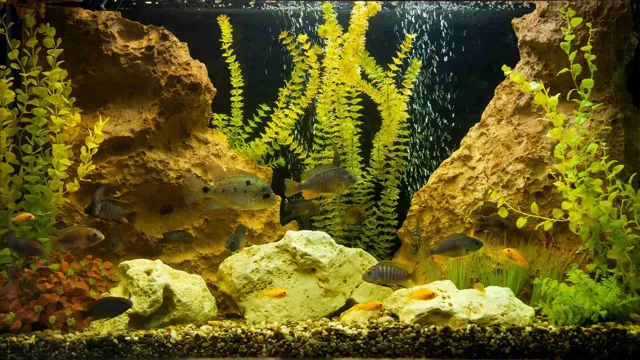 how to make your own aquarium rocks