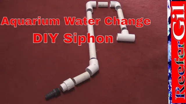 How to Make Your Own Aquarium Siphon: A Step-by-Step Guide for Beginners