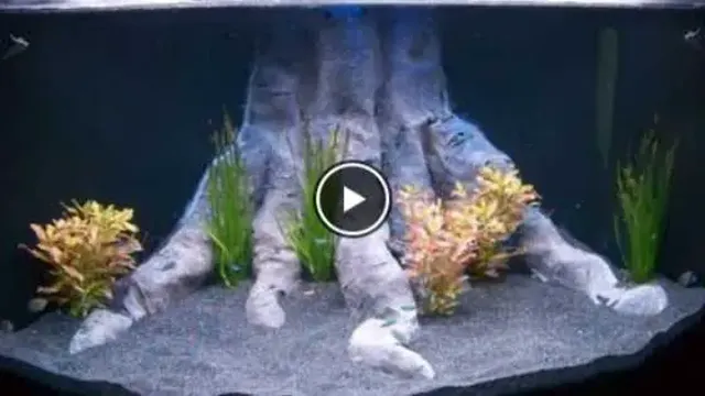 how to make your own background for aquarium
