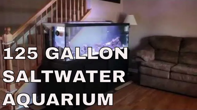 How to Plumb a 125 Gallon Saltwater Aquarium: A Step-by-Step Guide