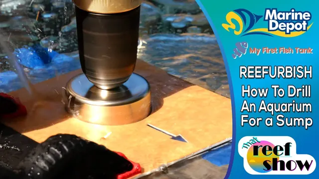 How to Plumb a Bottom Drilled Aquarium: A Step-by-Step Guide for Easy Installation