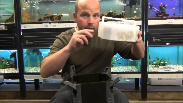 How to Plumb a Canister Filter for Aquarium: A Beginner’s Guide to Effective Filtration