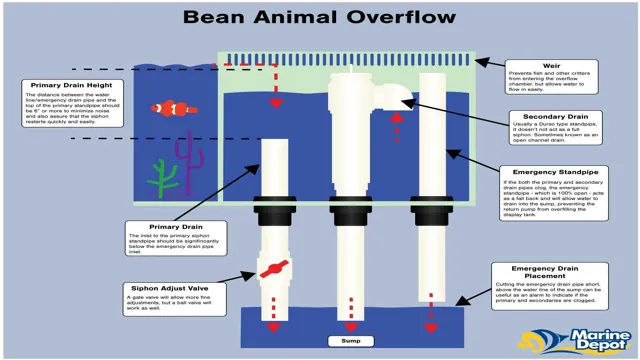 How to Plumb a Dual Overflow Aquarium: Tips and Tricks for Success