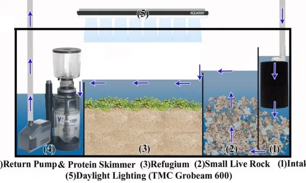 How to Plumb an Aquarium for a Sump…