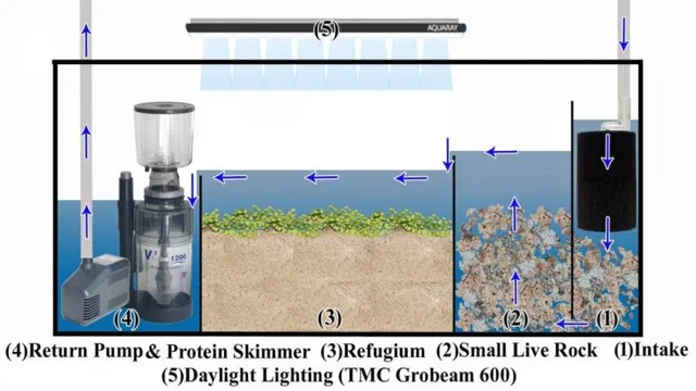 How to Plumb an Aquarium for a Sump Filter: A Step-by-Step Guide for Optimal Filtration