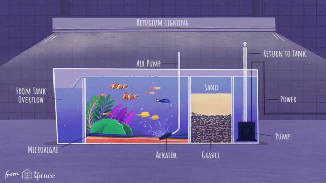 how to plumb saltwater aquarium with refugium