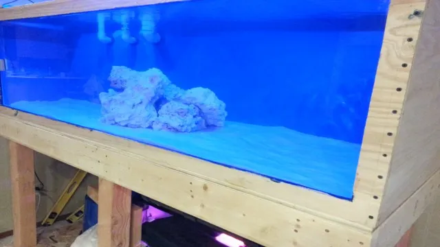 how to plywood aquarium