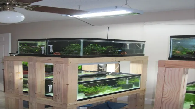 How to Power Multiple Aquariums Without Overloading Your Electrical System