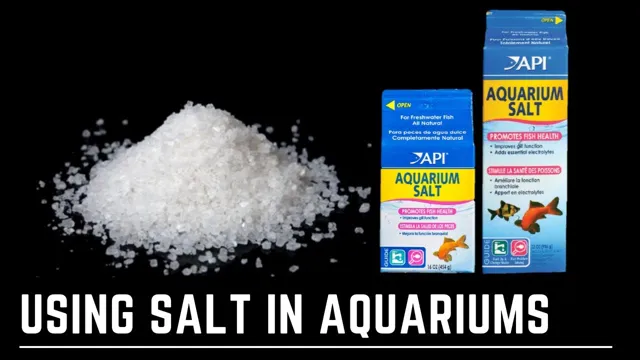 how to premix aquarium salt