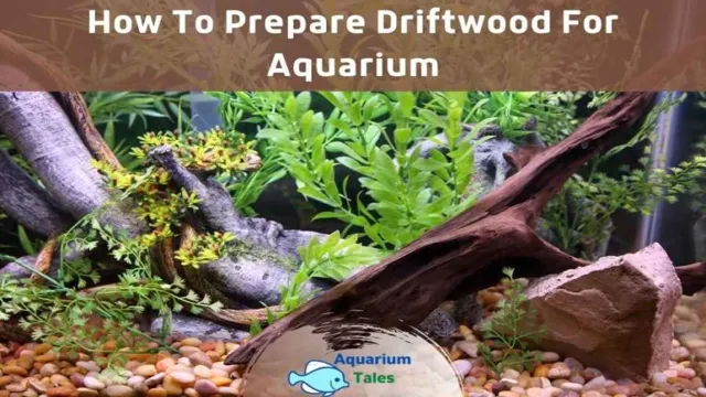 how to prep driftwood for aquarium