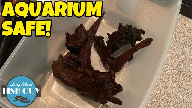 How to Prep Driftwood for Aquarium: A Comprehensive Guide for Safe and Natural Cleaning