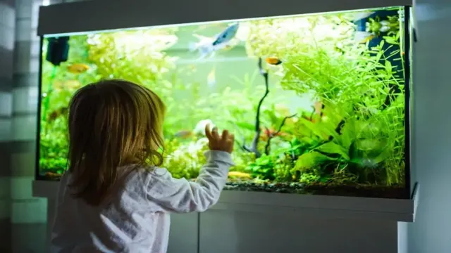 how to prep play sand for use in aquarium