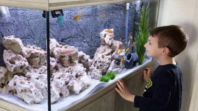 How to Prep Play Sand for Use in Aquarium: A Beginner’s Guide to Aquarium Sand Maintenance