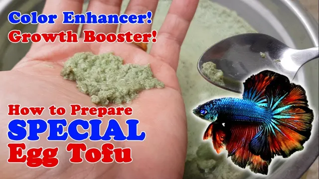 how to prepare an aquarium for a betta