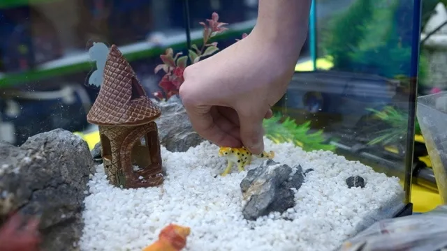 how to prepare aquarium decorations