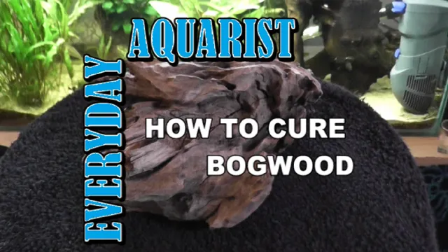 how to prepare bogwood for aquarium