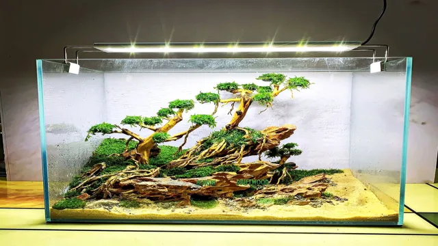 How to Prepare Bonsai Wood for Aquarium: A Step-by-Step Guide