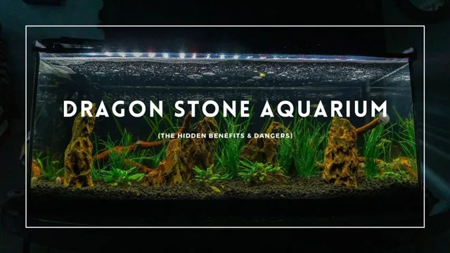 how to prepare dragon stone for aquarium