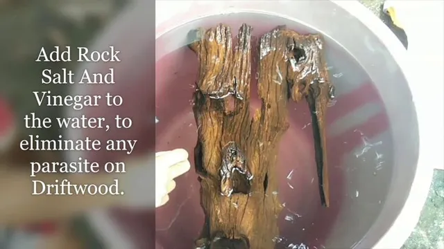 how to prepare driftwood aquarium