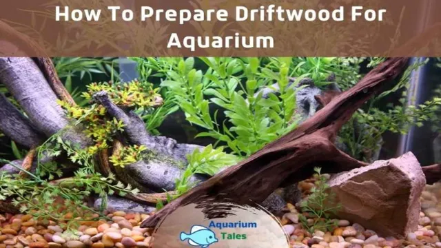 how to prepare driftwood for aquariums