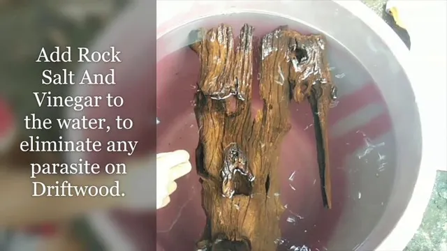 How to Prepare Driftwood for Freshwater Aquarium: A Step-by-Step Guide