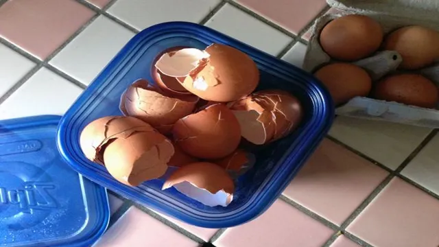 How to Prepare Eggshells for Aquarium: A Step-by-Step Guide for Nutrient-Rich Water