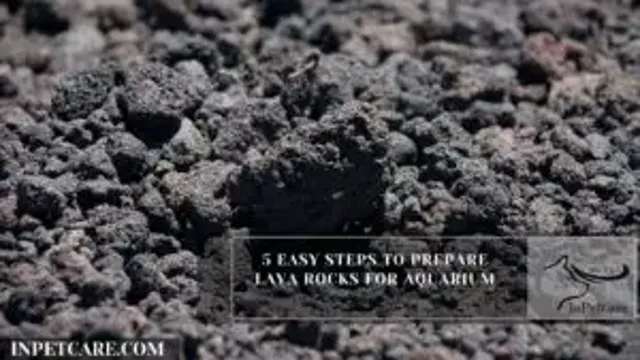 How to Prepare Lava Rocks for Aquarium: Tips and Tricks for Perfect Aquascaping