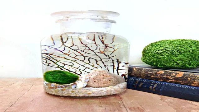 How to Prepare Moss Balls for Aquarium: A Step-by-Step Guide to a Healthy Aquatic Environment