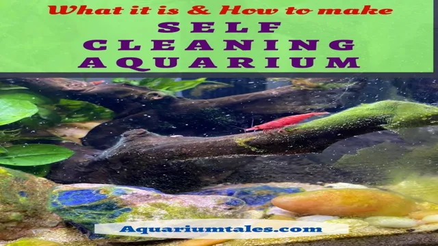 How to Prepare Your Hands to Work in Aquarium: Top Tips for Safe & Effective Handling