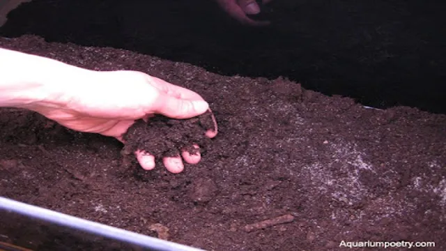 how to prepare soil for aquarium