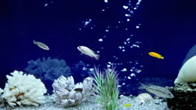 how to prevent bubbles when refilling aquarium