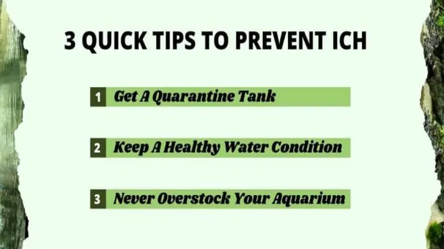 how to prevent ich in aquarium