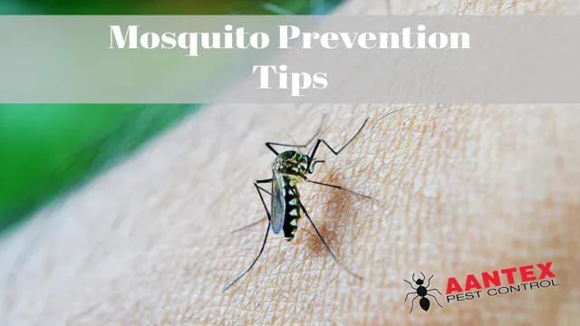 how to prevent mosquito in aquarium