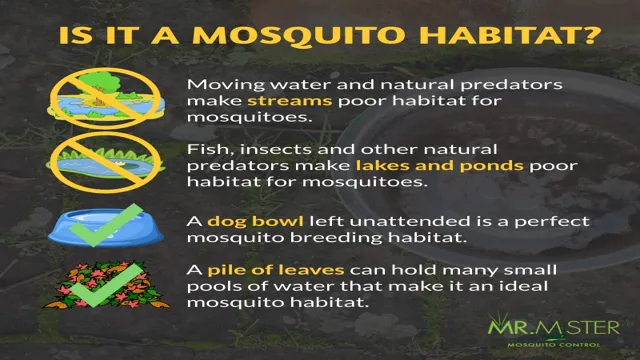 How to Prevent Mosquito in Aquarium: Effective Tips and Tricks