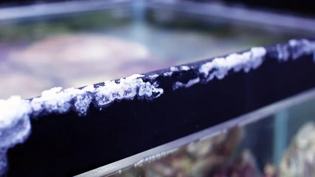 how to prevent salt creep in aquariums
