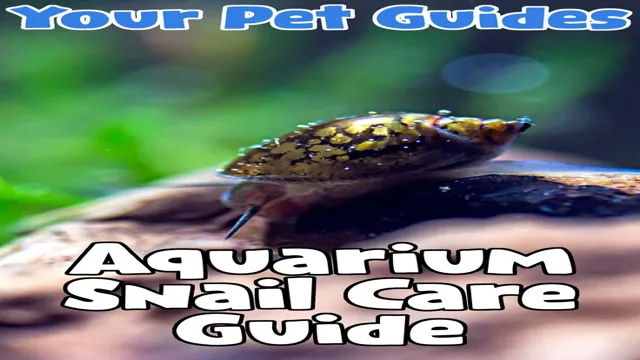 how to prevent snails in aquarium